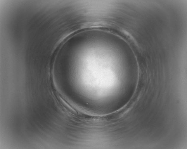 X0000068851457200605191939