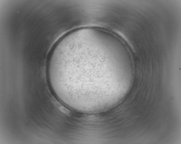 X0000068851460200605191939