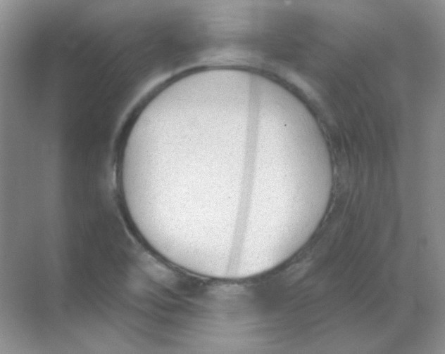 X0000068851462200605191939