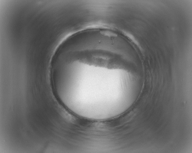 X0000068851463200605191939