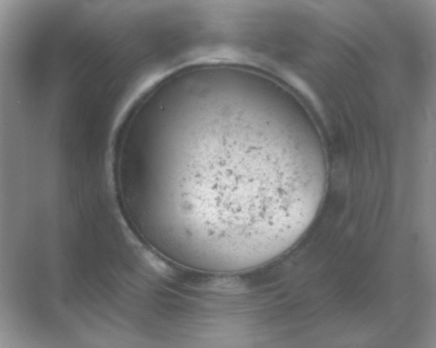 X0000068851464200605191939