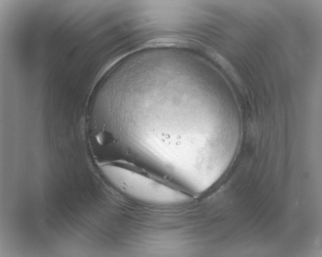 X0000068851465200605191939