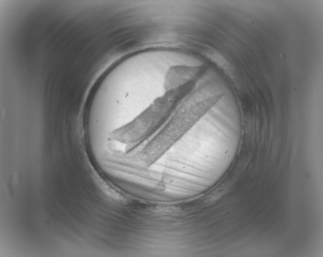 X0000068851466200605191939