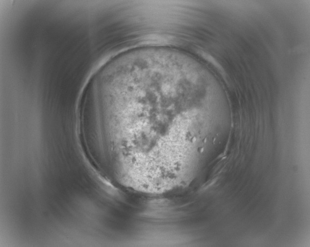 X0000068851467200605191939