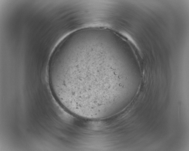 X0000068851468200605191939