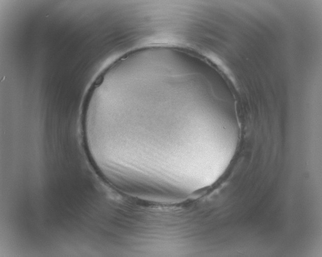 X0000068851469200605191939