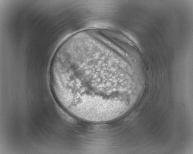 X0000068851471200605191939