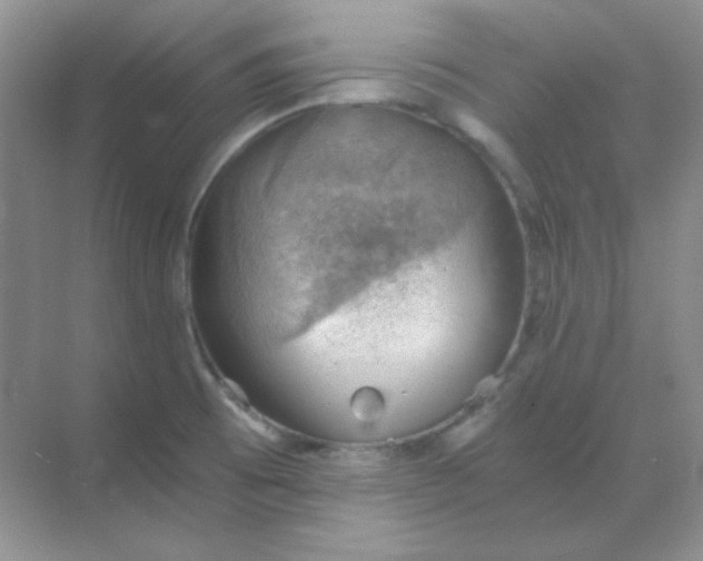 X0000068851473200605191938