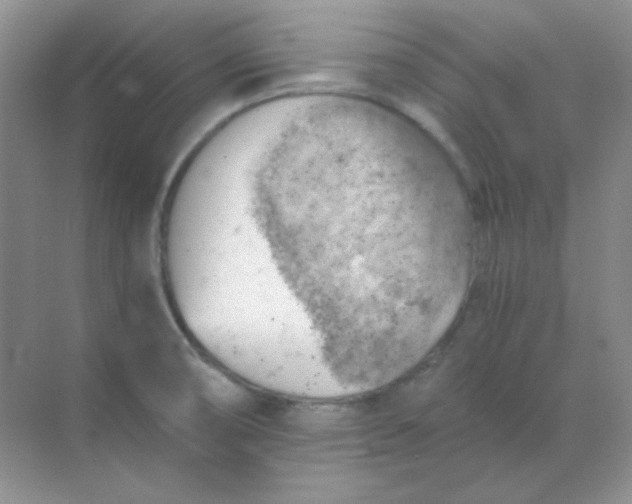 X0000068851474200605191938