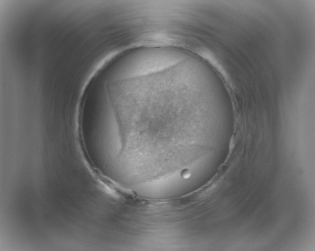 X0000068851477200605191938