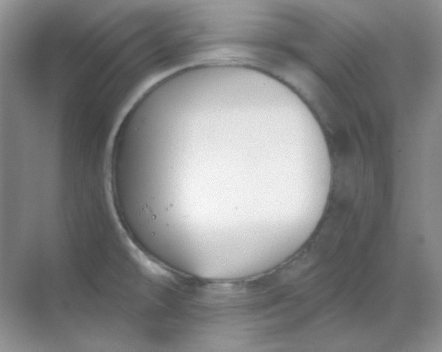 X0000068851478200605191938