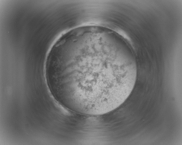 X0000068851480200605191938