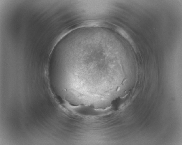 X0000068851481200605191938