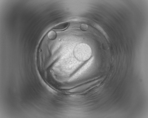 X0000068851483200605191938