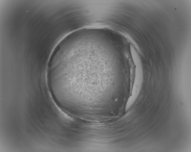 X0000068851484200605191938