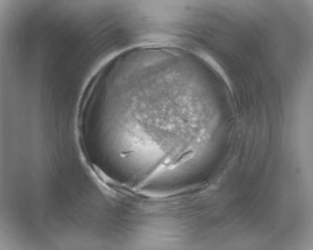 X0000068851485200605191938