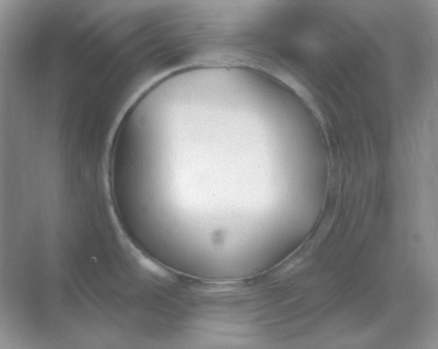 X0000068851486200605191938