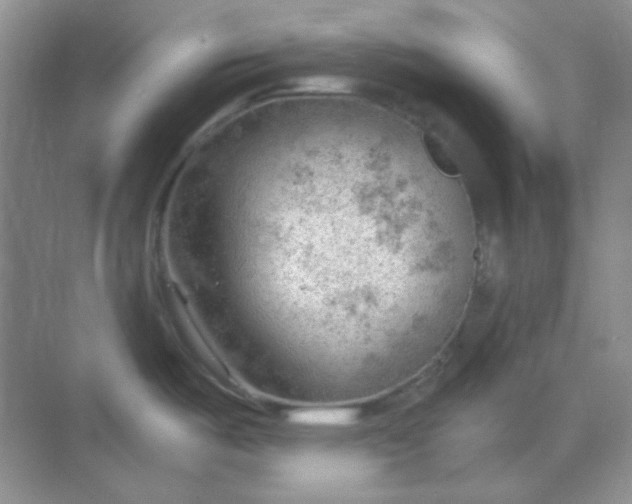 X0000068851487200605191938