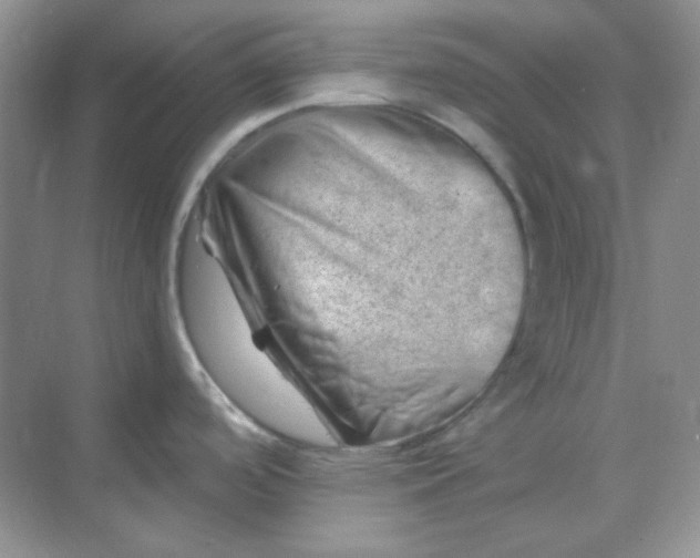 X0000068851488200605191938