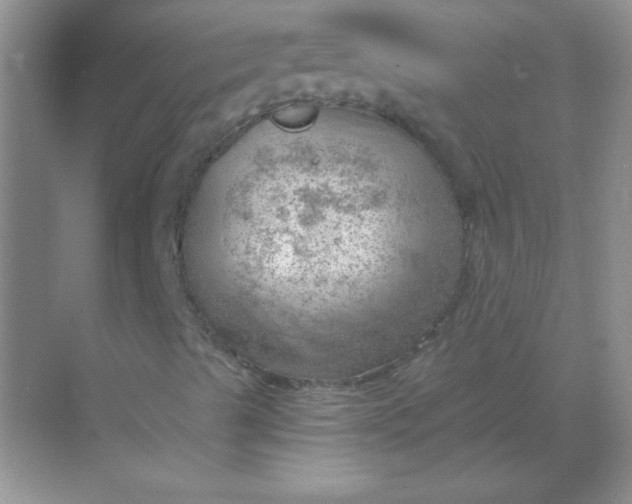 X0000068851489200605191937