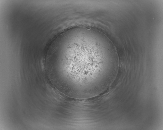 X0000068851490200605191937