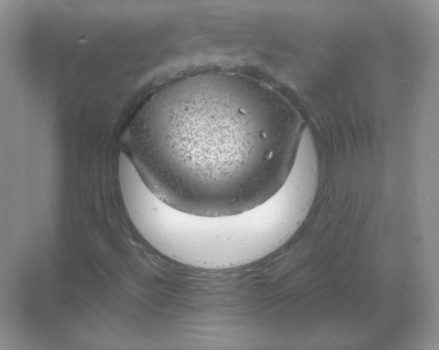 X0000068851492200605191937