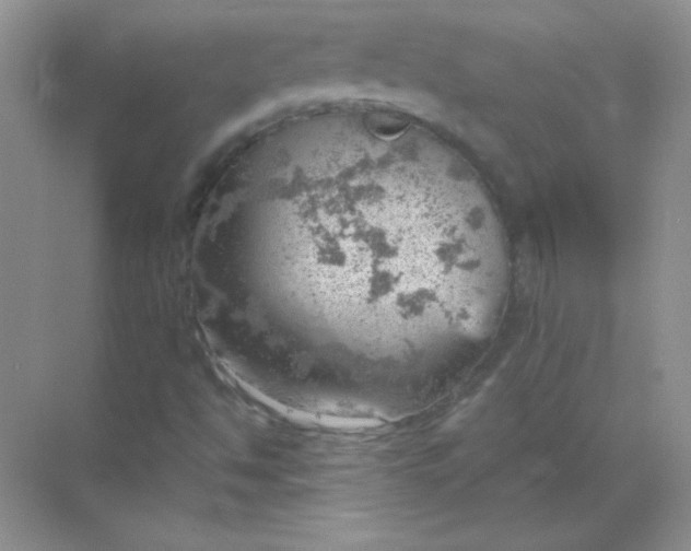 X0000068851494200605191938