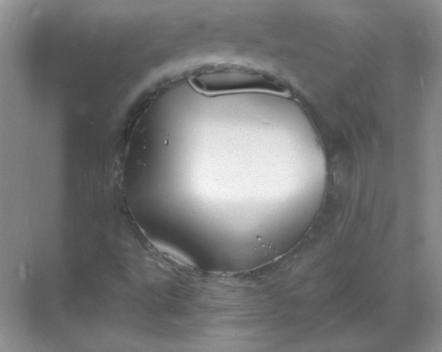 X0000068851495200605191938