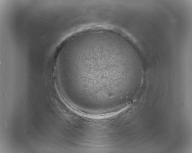 X0000068851496200605191938