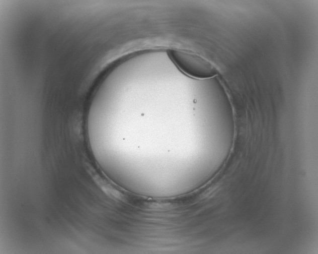 X0000068851499200605191938