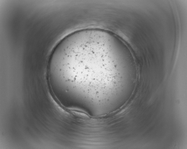 X0000068851500200605191938