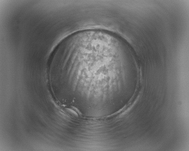 X0000068851501200605191938