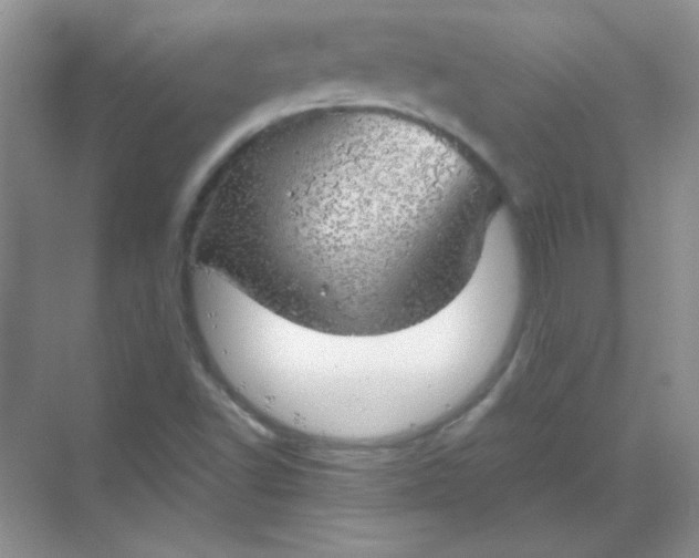 X0000068851502200605191938