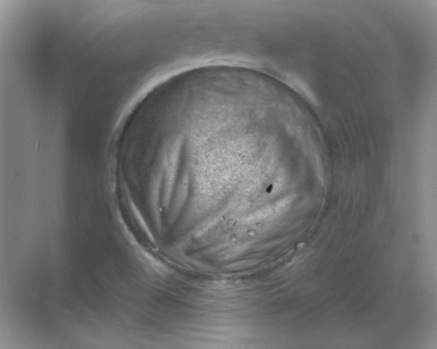 X0000068851504200605191938