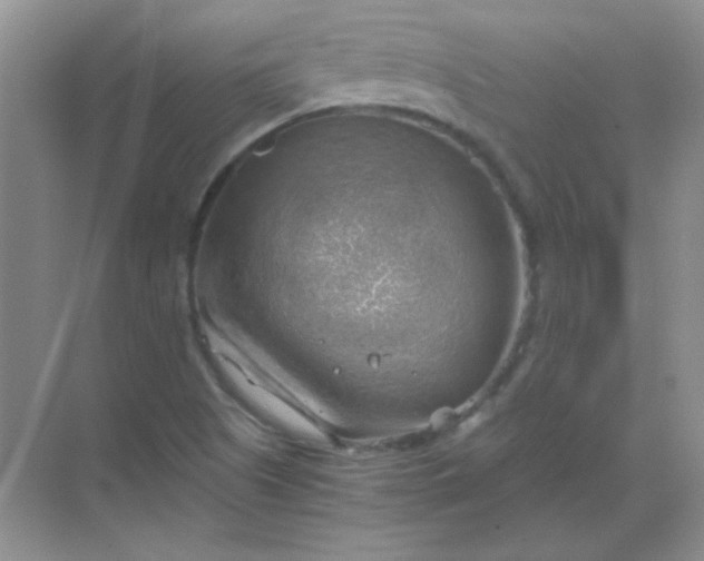 X0000068851505200605191938