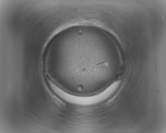 X0000068851506200605191938