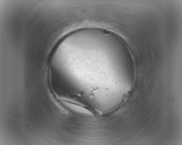 X0000068851507200605191938