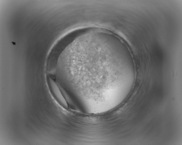 X0000068851508200605191938