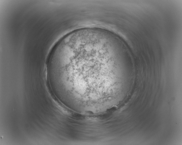 X0000068851509200605191938