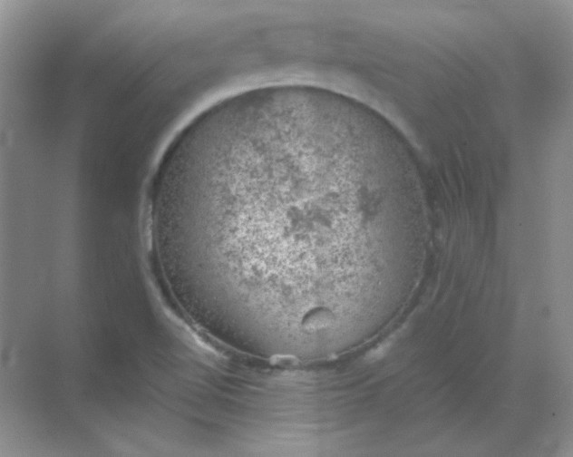 X0000068851510200605191938