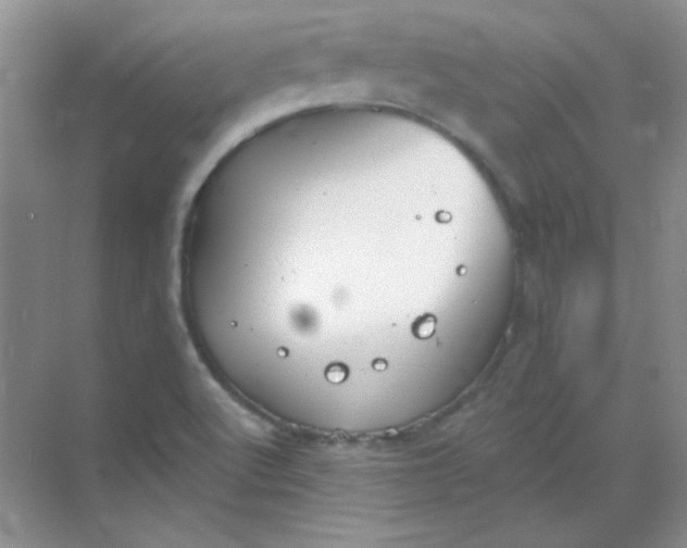 X0000068851512200605191938