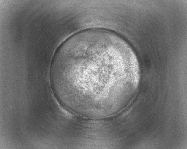 X0000068851513200605191938