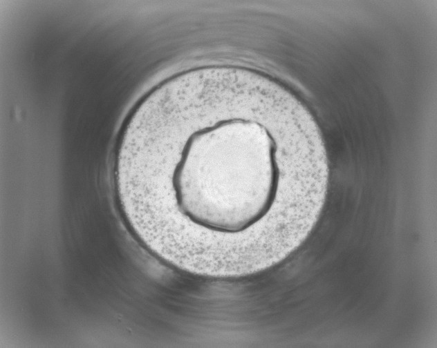 X0000068851514200605191938