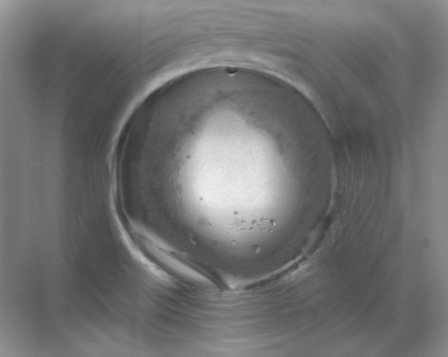 X0000068851515200605191938