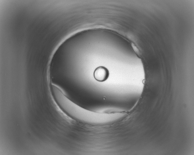 X0000068851516200605191938