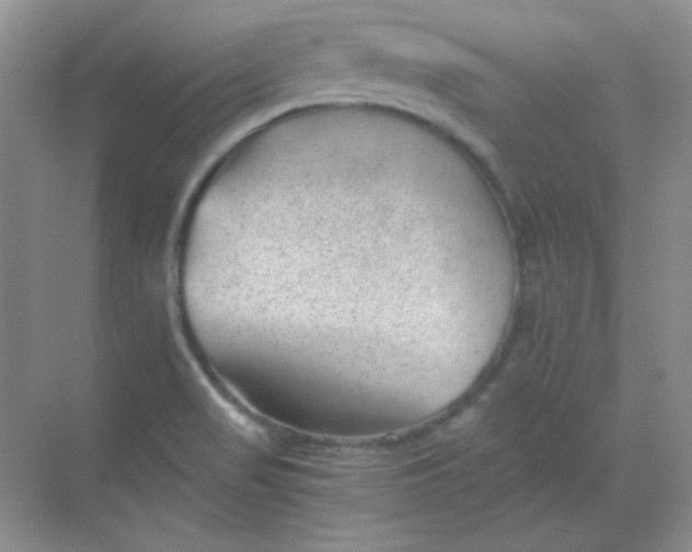 X0000068851517200605191938