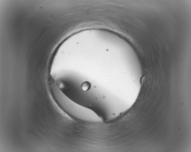 X0000068851518200605191938