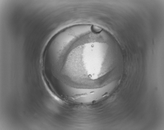 X0000068851519200605191938