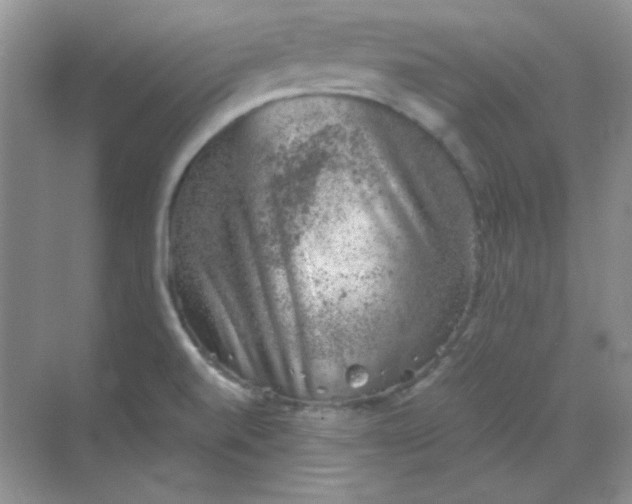 X0000068851520200605191938