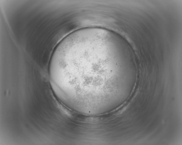 X0000068851521200605191938